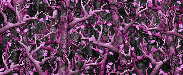 Bushwolf Obliteration Pink Camo Aurora Graphics makes the largest and highest resolution camouflage, camo patterns on the planet under the Bushwolf obliteration trademark. In direct competition with and Superior to companies like Kryptek, Realtree, Mossyoak, real, tree, mossy, oak. We offer many different designs such as lifestyle patterns, tactical patterns, hunting patterns, field patterns. Great for hunting any type of game such as pheasant, deer, turkey, quail, buck, Whitetail, elk, Caribou, moose, Pronghorn sheep, antelope.