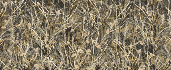 Bushwolf Obliteration Tallgrass Camo Aurora Graphics makes the largest and highest resolution camouflage, camo patterns on the planet under the Bushwolf obliteration trademark. In direct competition with and Superior to companies like Kryptek, Realtree, Mossyoak, real, tree, mossy, oak. We offer many different designs such as lifestyle patterns, tactical patterns, hunting patterns, field patterns. Great for hunting any type of game such as pheasant, deer, turkey, quail, buck, Whitetail, elk, Caribou, moose, Pronghorn sheep, antelope.
