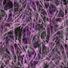 Bushwolf Obliteration Tallgrass Pink Camo Aurora Graphics Bushwolf line of camouflage patterns are meticulously design in a wide variety of field patterns, tactical patterns, Military patterns, pink patterns and lifestyle patterns. Each image is large enough to wrap the largest of vehicles and any other application! These images are perfect for concealment in any operating or hunting environment.