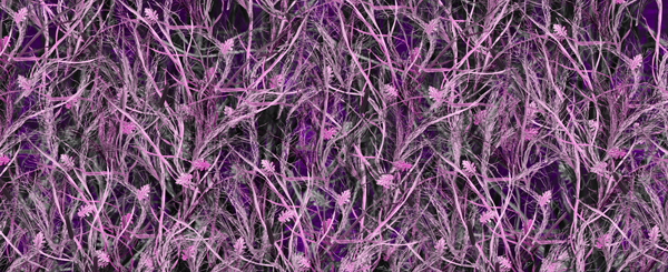 Bushwolf Obliteration Tallgrass Pink Camo Aurora Graphics Bushwolf line of camouflage patterns are meticulously design in a wide variety of field patterns, tactical patterns, Military patterns, pink patterns and lifestyle patterns. Each image is large enough to wrap the largest of vehicles and any other application! These images are perfect for concealment in any operating or hunting environment.