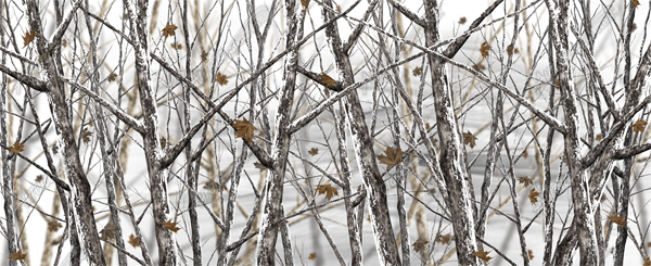 Bushwolf Snowstorm Camo Aurora Graphics makes the largest and highest resolution camouflage, camo patterns on the planet under the Bushwolf obliteration trademark. In direct competition with and Superior to companies like Kryptek, Realtree, Mossyoak, real, tree, mossy, oak. We offer many different designs such as lifestyle patterns, tactical patterns, hunting patterns, field patterns. Great for hunting any type of game such as pheasant, deer, turkey, quail, buck, Whitetail, elk, Caribou, moose, Pronghorn sheep, antelope. Snowstorm, Snow, Forest, Hunting, Tree,