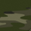 Bushwolf traditional green camo
