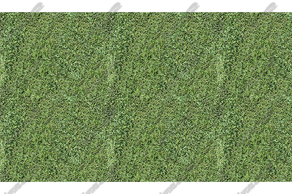 Grass 2 is a great image to fill text or as a wrap background. This image is tileable and very high resolution.