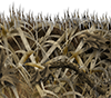 Grassland Partial Aurora Graphics makes the largest and highest resolution camouflage, camo patterns on the planet under the Bushwolf obliteration trademark. In direct competition with and Superior to companies like Kryptek, Realtree, Mossyoak, real, tree, mossy, oak. We offer many different designs such as lifestyle patterns, tactical patterns, hunting patterns, field patterns. Great for hunting any type of game such as pheasant, deer, turkey, quail, buck, Whitetail, elk, Caribou, moose, Pronghorn sheep, antelope. Partial Wrap. Grass, Forest, Hunting and Outdoor. CutContour Graphics Cut Contour Design Cut File Print/Cut Print Cut.