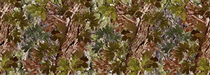 Green Oak Camo Aurora Graphics makes the largest and highest resolution camouflage, camo patterns on the planet under the Bushwolf obliteration trademark. In direct competition with and Superior to companies like Kryptek, Realtree, Mossyoak, real, tree, mossy, oak. We offer many different designs such as lifestyle patterns, tactical patterns, hunting patterns, field patterns. Great for hunting any type of game such as pheasant, deer, turkey, quail, buck, Whitetail, elk, Caribou, moose, Pronghorn sheep, antelope. Hunting, Forest and Banner.