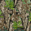 Heavy Timber Camo Aurora Graphics makes the largest and highest resolution camouflage, camo patterns on the planet under the Bushwolf obliteration trademark. In direct competition with and Superior to companies like Kryptek, Realtree, Mossyoak, real, tree, mossy, oak. We offer many different designs such as lifestyle patterns, tactical patterns, hunting patterns, field patterns. Great for hunting any type of game such as pheasant, deer, turkey, quail, buck, Whitetail, elk, Caribou, moose, Pronghorn sheep, antelope. Hunting, Forest, Tree, Sport and Game.