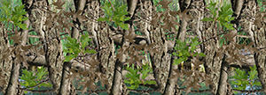 Heavy Timber Camo Aurora Graphics makes the largest and highest resolution camouflage, camo patterns on the planet under the Bushwolf obliteration trademark. In direct competition with and Superior to companies like Kryptek, Realtree, Mossyoak, real, tree, mossy, oak. We offer many different designs such as lifestyle patterns, tactical patterns, hunting patterns, field patterns. Great for hunting any type of game such as pheasant, deer, turkey, quail, buck, Whitetail, elk, Caribou, moose, Pronghorn sheep, antelope. Hunting, Forest, Tree, Sport and Game.