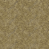 Jaguar Hide, Skin