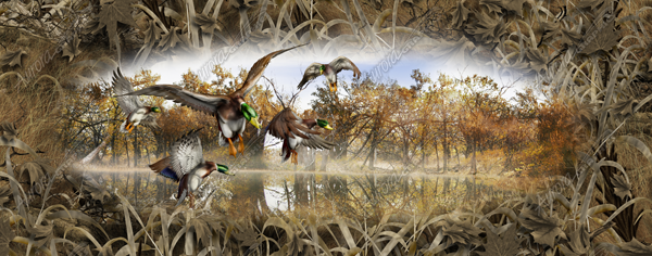 Mallards Full Size Tailgate Aurora Graphics makes the largest and highest resolution camouflage, camo patterns on the planet under the Bushwolf obliteration trademark. In direct competition with and Superior to companies like Kryptek, Realtree, Mossyoak, real, tree, mossy, oak. We offer many different designs such as lifestyle patterns, tactical patterns, hunting patterns, field patterns. Great for hunting any type of game such as pheasant, deer, turkey, quail, buck, Whitetail, elk, Caribou, moose, Pronghorn sheep, antelope. Oak Ambush, Woodland Ghost, Grassland, Marshland, Snowstorm, Forest and Snowstorm Pink. Hunting, Forest, Grass, Field Patterns. Sports and Games, Shooting. CutContour Graphics Cut Contour Design Cut File Print/Cut Print Cut