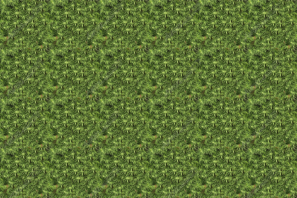 Prickly Leaves - FREE - FREE Vehicle Wrap Design — Large Scale Artwork for Wide Format Printing | Categories: Textures & Fills, Tileable Fills, Tileable Textures