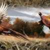 Ringneck Pheasant Full Size Tailgate Tailgate Aurora Graphics makes the largest and highest resolution camouflage, camo patterns on the planet under the Bushwolf obliteration trademark. In direct competition with and Superior to companies like Kryptek, Realtree, Mossyoak, real, tree, mossy, oak. We offer many different designs such as lifestyle patterns, tactical patterns, hunting patterns, field patterns. Great for hunting any type of game such as pheasant, deer, turkey, quail, buck, Whitetail, elk, Caribou, moose, Pronghorn sheep, antelope. Aurora Graphics makes the largest and highest resolution camouflage, camo patterns on the planet under the Bushwolf obliteration trademark. In direct competition with and Superior to companies like Kryptek, Realtree, Mossyoak, real, tree, mossy, oak. We offer many different designs such as lifestyle patterns, tactical patterns, hunting patterns, field patterns. Great for hunting any type of game such as pheasant, deer, turkey, quail, buck, Whitetail, elk, Caribou, moose, Pronghorn sheep, antelope. Oak Ambush, Woodland Ghost, Grassland, Marshland, Snowstorm, Forest and Snowstorm Pink. Hunting, Forest, Grass, Field Patterns. Sports and Games, Shooting. CutContour Graphics Cut Contour Design Cut File Print/Cut Print Cut