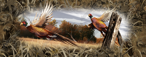 Ringneck Pheasant Full Size Tailgate Tailgate Aurora Graphics makes the largest and highest resolution camouflage, camo patterns on the planet under the Bushwolf obliteration trademark. In direct competition with and Superior to companies like Kryptek, Realtree, Mossyoak, real, tree, mossy, oak. We offer many different designs such as lifestyle patterns, tactical patterns, hunting patterns, field patterns. Great for hunting any type of game such as pheasant, deer, turkey, quail, buck, Whitetail, elk, Caribou, moose, Pronghorn sheep, antelope. Aurora Graphics makes the largest and highest resolution camouflage, camo patterns on the planet under the Bushwolf obliteration trademark. In direct competition with and Superior to companies like Kryptek, Realtree, Mossyoak, real, tree, mossy, oak. We offer many different designs such as lifestyle patterns, tactical patterns, hunting patterns, field patterns. Great for hunting any type of game such as pheasant, deer, turkey, quail, buck, Whitetail, elk, Caribou, moose, Pronghorn sheep, antelope. Oak Ambush, Woodland Ghost, Grassland, Marshland, Snowstorm, Forest and Snowstorm Pink. Hunting, Forest, Grass, Field Patterns. Sports and Games, Shooting. CutContour Graphics Cut Contour Design Cut File Print/Cut Print Cut