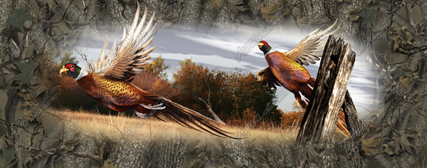 Ringneck Pheasant Full Size Tailgate Graphic fits most full size trucks and SUV tailgates. This image features an early autumn day and 2 pheasants getting flushed out of cover near an old fence post.