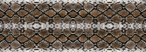 Snake Skin 1