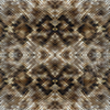 Snake Skin 2