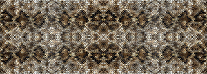 Snake Skin 2