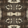 Beautiful Snake Skin Texture by Aurora Graphics