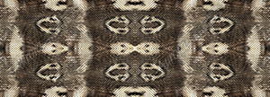 Beautiful Snake Skin Texture by Aurora Graphics