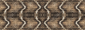 Snake Skin 5