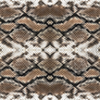 Snake Skin 7