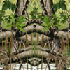 Wet Land Camo Aurora Graphics makes the largest and highest resolution camouflage, camo patterns on the planet under the Bushwolf obliteration trademark. In direct competition with and Superior to companies like Kryptek, Realtree, Mossyoak, real, tree, mossy, oak. We offer many different designs such as lifestyle patterns, tactical patterns, hunting patterns, field patterns. Great for hunting any type of game such as pheasant, deer, turkey, quail, buck, Whitetail, elk, Caribou, moose, Pronghorn sheep, antelope. Hunting, Tree, Water and Forest. Hunting.