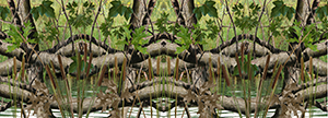Wet Land Camo Aurora Graphics makes the largest and highest resolution camouflage, camo patterns on the planet under the Bushwolf obliteration trademark. In direct competition with and Superior to companies like Kryptek, Realtree, Mossyoak, real, tree, mossy, oak. We offer many different designs such as lifestyle patterns, tactical patterns, hunting patterns, field patterns. Great for hunting any type of game such as pheasant, deer, turkey, quail, buck, Whitetail, elk, Caribou, moose, Pronghorn sheep, antelope. Hunting, Tree, Water and Forest. Hunting.