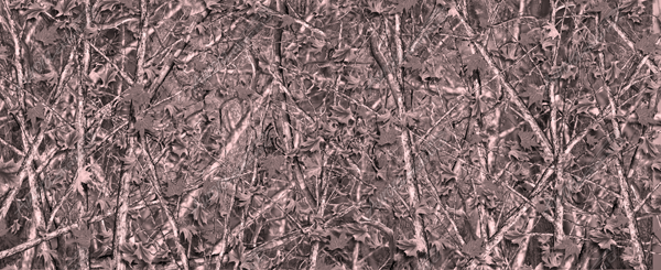 Woodland Ghost Camo Pink Aurora Graphics Bushwolf line of camouflage patterns are meticulously design in a wide variety of field patterns, tactical patterns, Military patterns, pink patterns and lifestyle patterns. Each image is large enough to wrap the largest of vehicles and any other application! These images are perfect for concealment in any operating or hunting environment.
