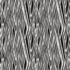 Zebra Hide 2