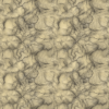 Alien Hide