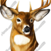 Buck 2 is a highly detailed and realistic transparent .tiff image of a majestic buck, designed for vehicle wraps, rear window graphics, tailgate designs, signage, and more. Perfect for hunters, sportsmen, lodges, and outdoor-themed businesses, this image showcases the strength and beauty of a full-front-facing buck, complete with impressive antlers and lifelike textures. Hunting, shooting, outdoor, forest, deer.