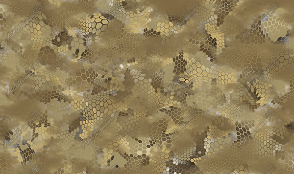 Aurora Graphics