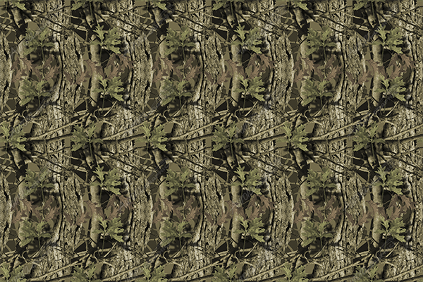 Aurora Graphics