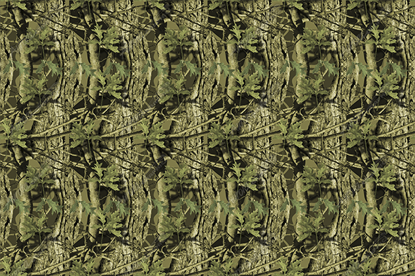 Aurora Graphics