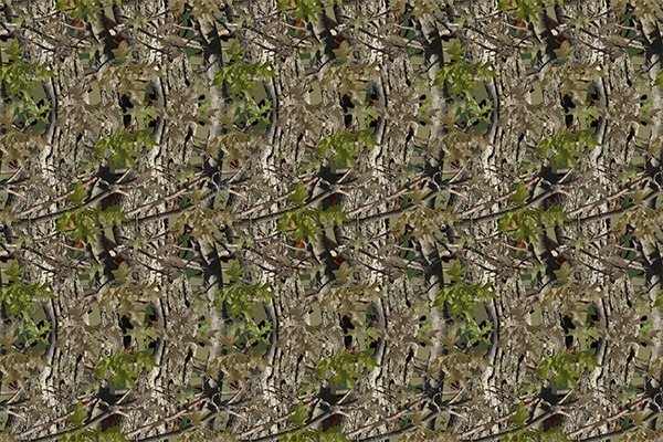 Aurora Graphics