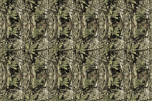 Aurora Graphics