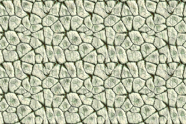 Cracked Ancient Stone - FREE - FREE
