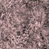 Grassland Camo Pink Aurora Graphics Bushwolf line of camouflage patterns are meticulously design in a wide variety of field patterns, tactical patterns, Military patterns, pink patterns and lifestyle patterns. Each image is large enough to wrap the largest of vehicles and any other application! These images are perfect for concealment in any operating or hunting environment.
