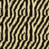 Zebra Hide Pattern
