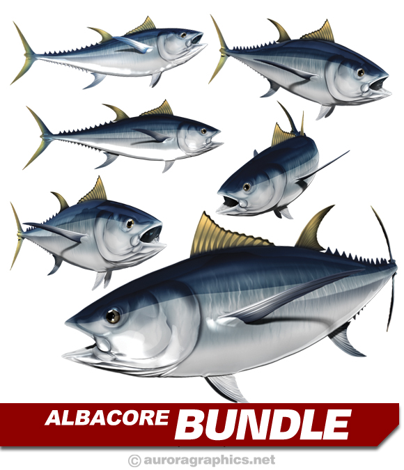 Albacore