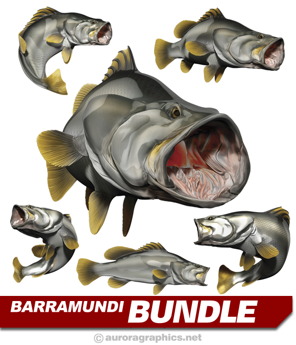 Barramundi