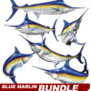 Blue Marlin