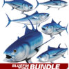 Bluefin Tuna