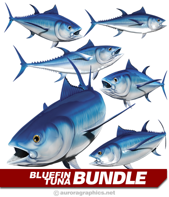 Bluefin Tuna