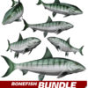 Bonefish