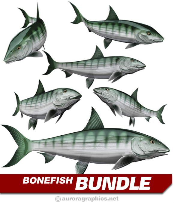 Bonefish