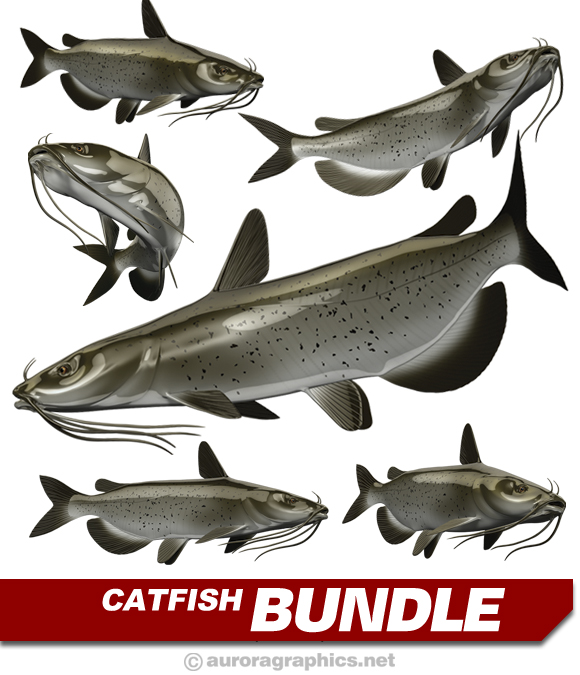 Catfish