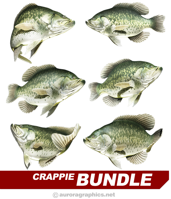 Crappie