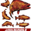 Cubera Snapper