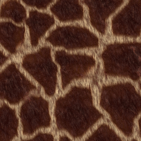 Animal Textures