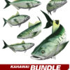 Kahawai